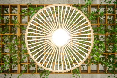 Vines appear to grow from the ceiling to the ground